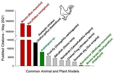 Beyond the Chicken: Alternative Avian Models for Developmental Physiological Research